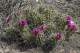 P1070409_edited