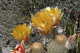 P1070428_edited