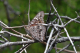 P1070431_edited