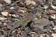 P1070435_edited