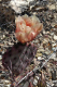 P1070438_edited