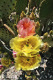 P1070442_edited
