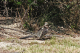 P1070452_edited