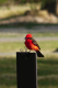 P1070470_edited