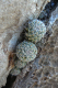 P1070505_edited