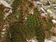 P1070511_edited