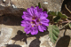 P1070517_edited