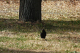 P1070526_edited
