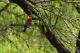 P1070541_edited