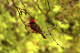 P1070543_edited