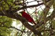 P1070549_edited