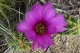P1070554_edited