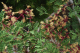 P1070555_edited