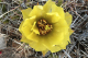 P1070563_edited