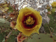 P1070573_edited