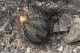 P1070581_edited