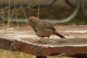 P1070676_edited