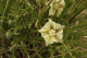 P1070734_edited