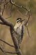 P1070746_edited